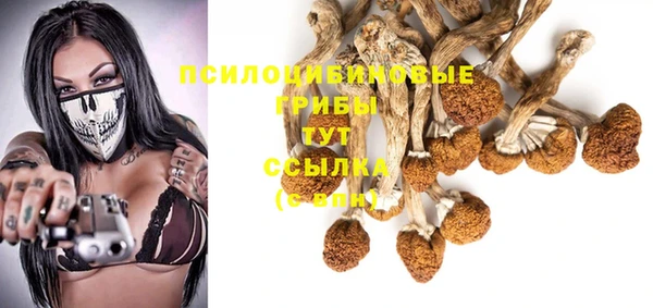 ПСИЛОЦИБИНОВЫЕ ГРИБЫ Алексеевка