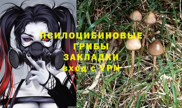прущая мука Алзамай